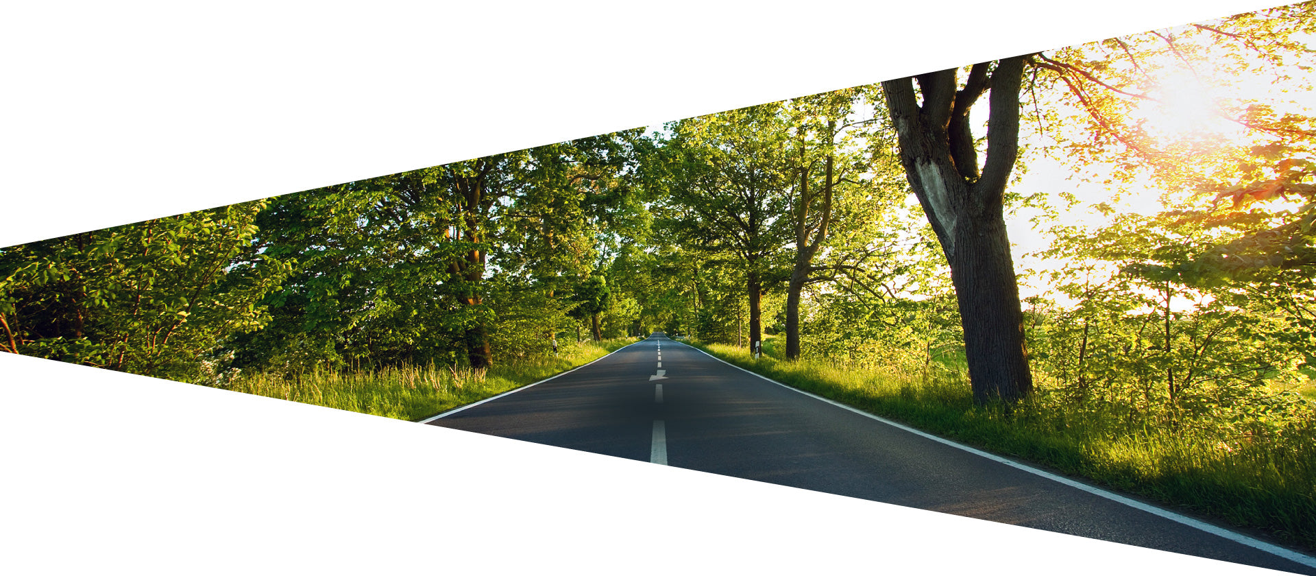 NAVITEL MSR900 msr900/MSR900_banner3