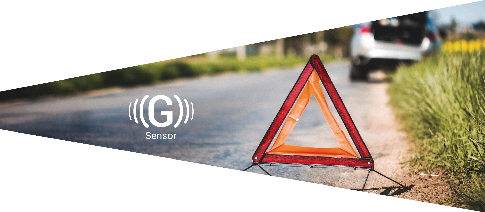 NAVITEL R1000 en/R1000_Banner6_EN