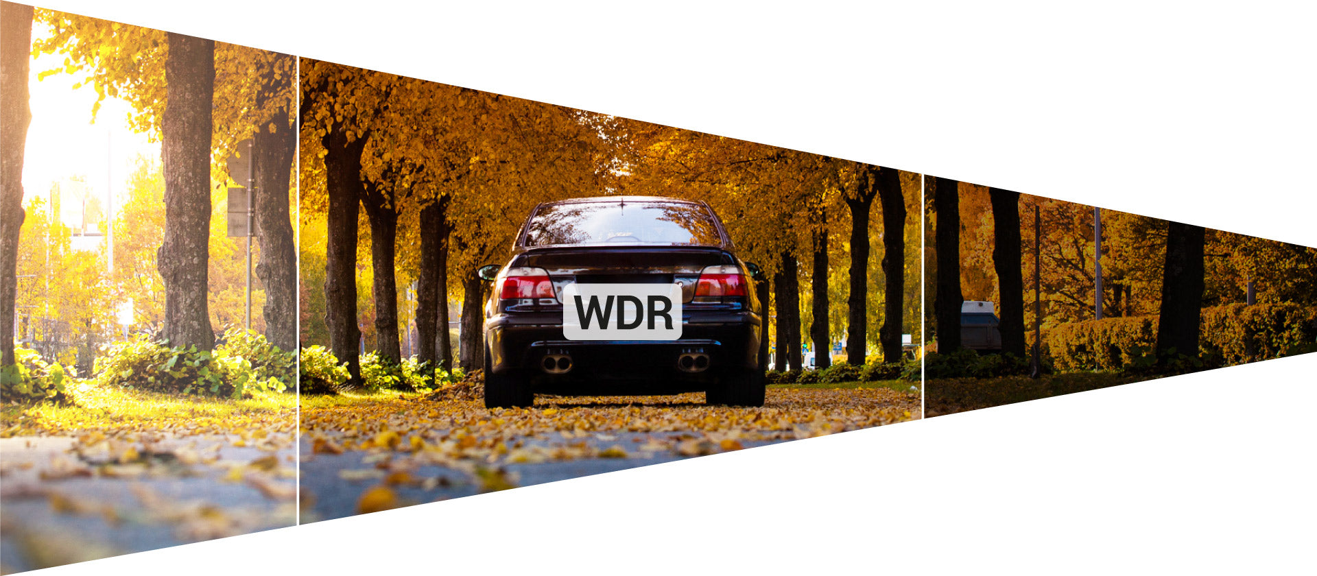 RS2 DUO rs2_duo/rs2_duo_5
