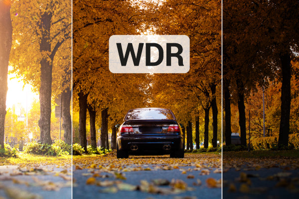 RS2 DUO rs2_duo/rs2_duo_m5